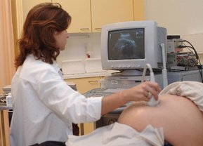 L'échographie L'échographie